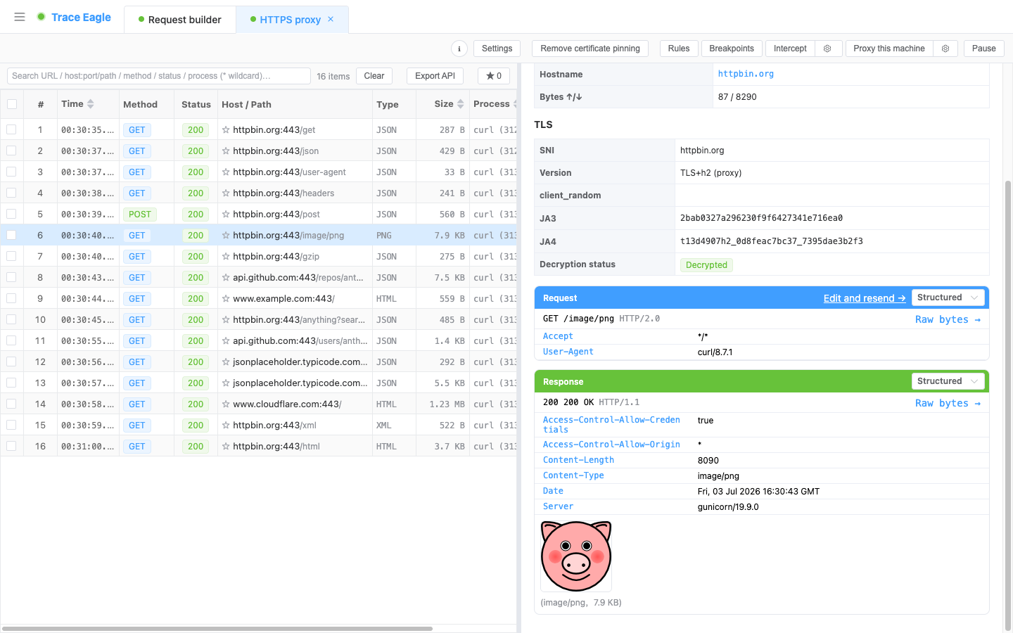 Inline media preview: an image is rendered directly in the response detail view, annotated with its type and size
